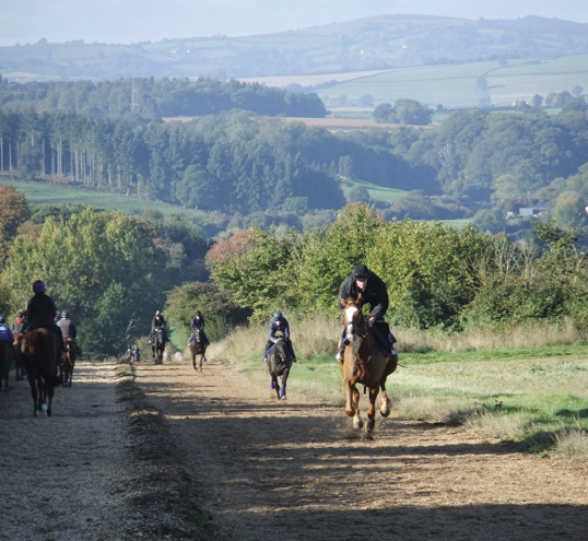 Aramstone Stables Venetia Williams All Weather Gallop