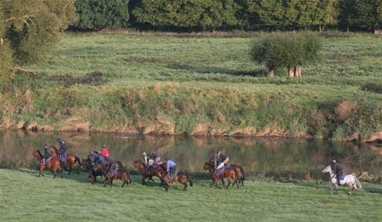 Aramstone Stables Venetia Williams Racing Grass Gallop